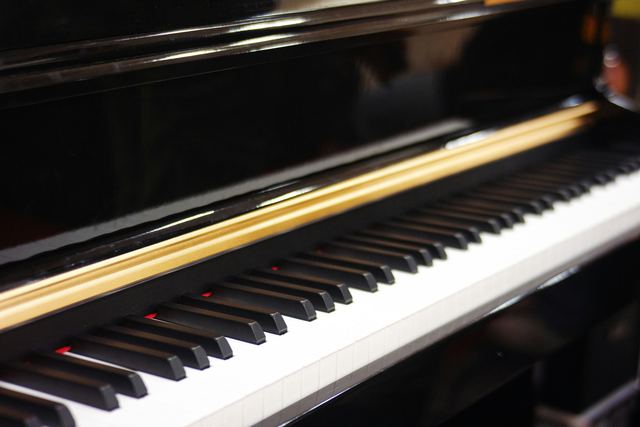 Entretenir son piano acoustique ou numérique sans l'abîmer Entretenir son piano acoustique ou numérique sans l'abîmer