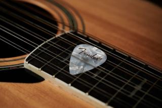 Humidité guitare : le taux idéal et les signes qui alertent