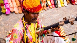 Instruments irlandais : les 5 incontournables de la musique celtique