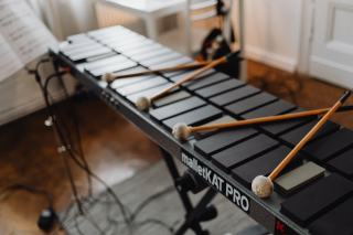 Instruments de musique insolites : orgue marin et thérémine
