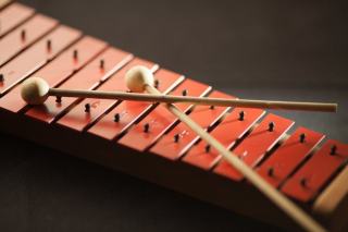Se mettre à un instrument : toutes les bonnes raisons d'y croire