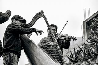 Instruments de musique celtiques : harpe, bodhrán, tin whistle