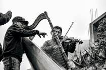 Instruments de musique celtiques : harpe, uilleann et bodhrán