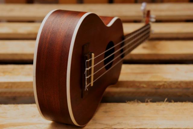 Top 5 des instruments les plus insolites : le Dualo en tête Top 5 des instruments les plus insolites : le Dualo en tête