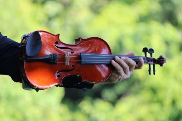 Les 5 instruments de musique classique les plus utilisés en concert